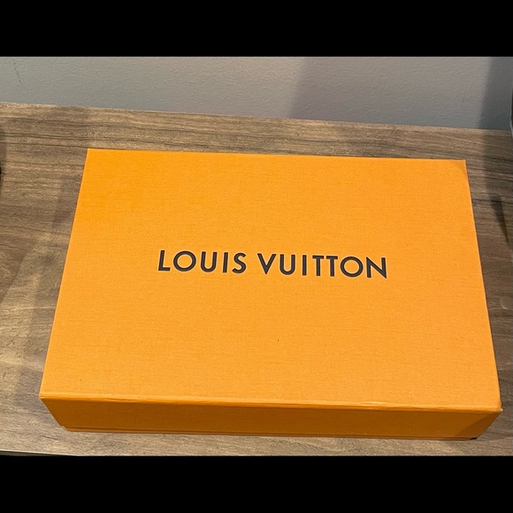 Louis Vuitton Louise Chain GM - Picture 14 of 15